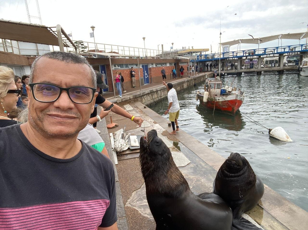 波多黎各德埃斯特角城-埃斯特角城必去景点