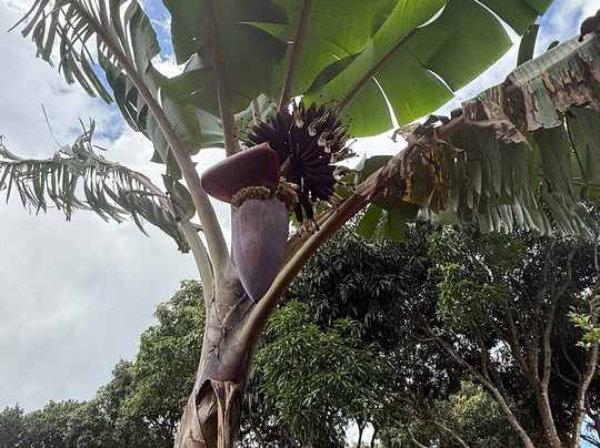 Grandezza Tours and Travel-桑给巴尔市必去景点