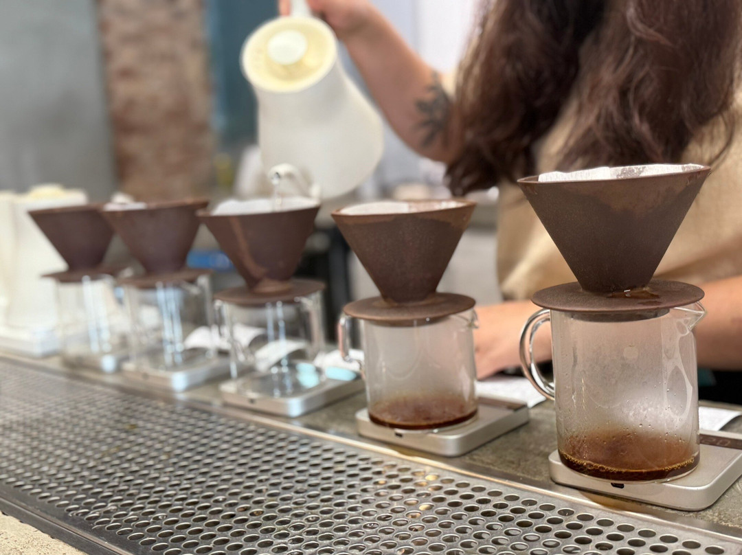 Step by Step Travel-Boca Chica必去景点