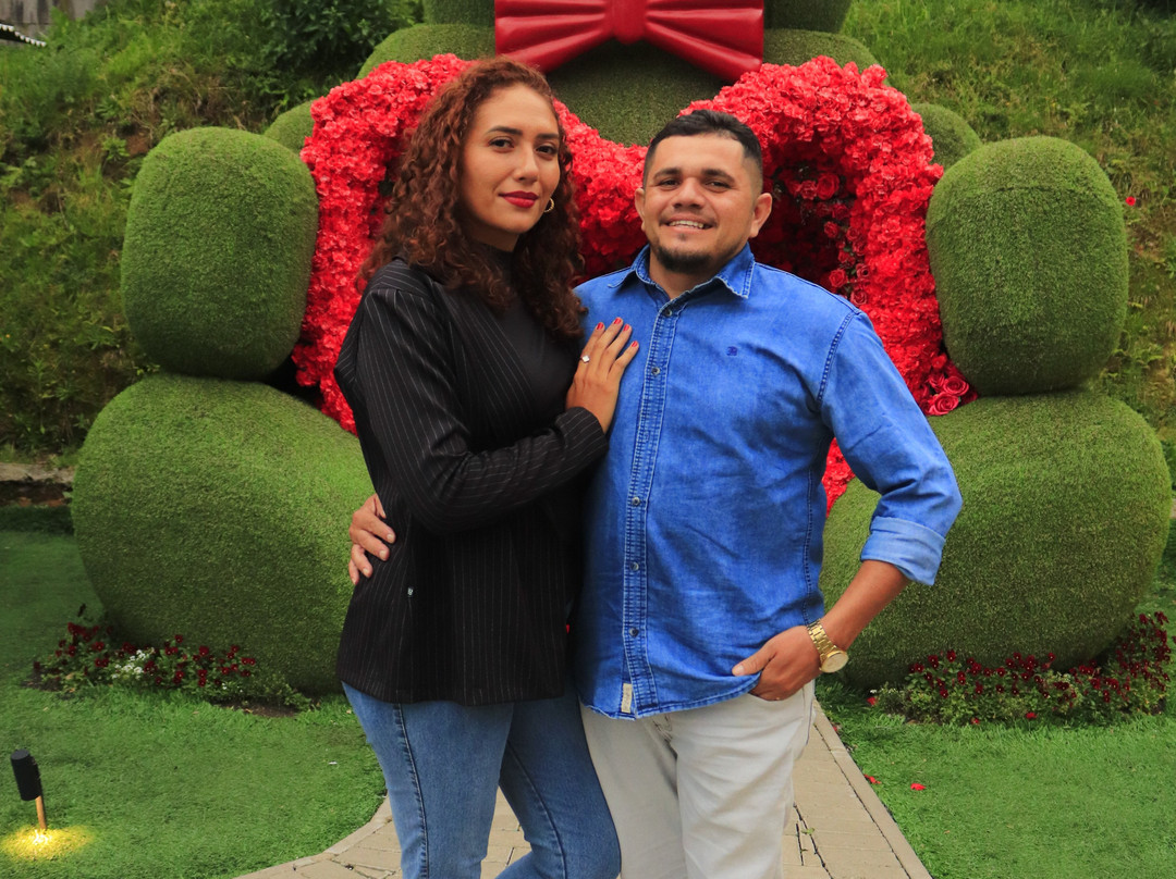 Hortênsias Garden-格拉玛多必去景点