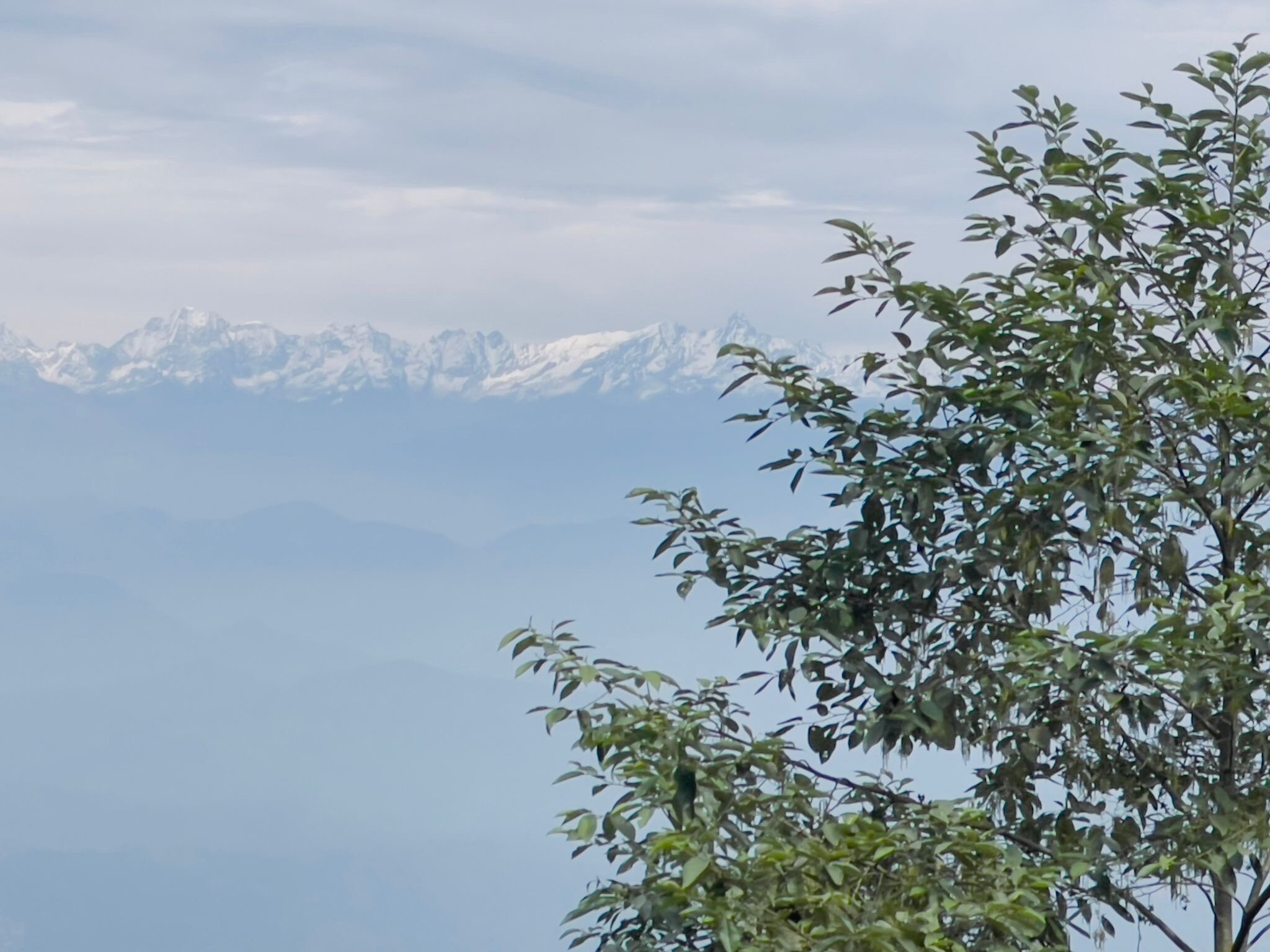 Kavya Himalayas-官方