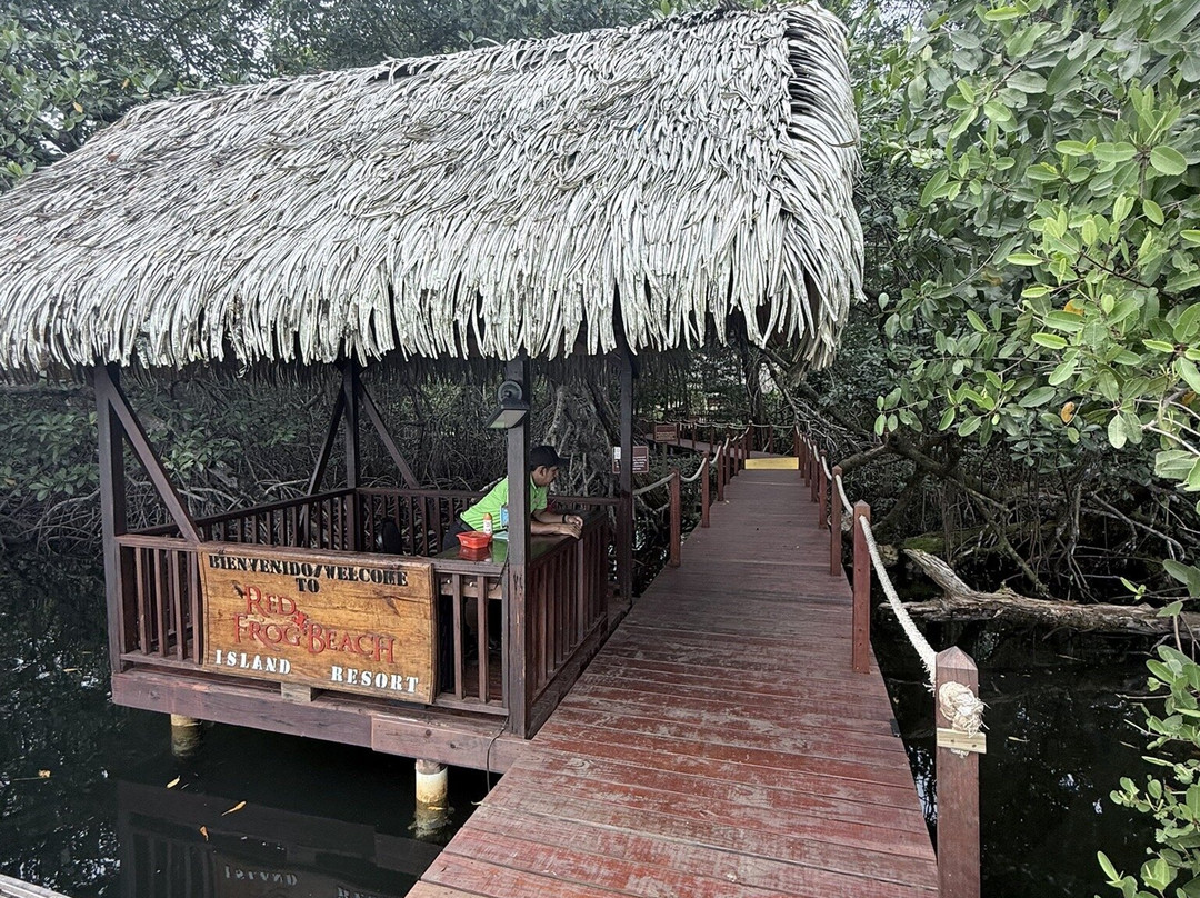 马里诺岛巴斯蒂门多斯国家公园-博卡斯镇必去景点