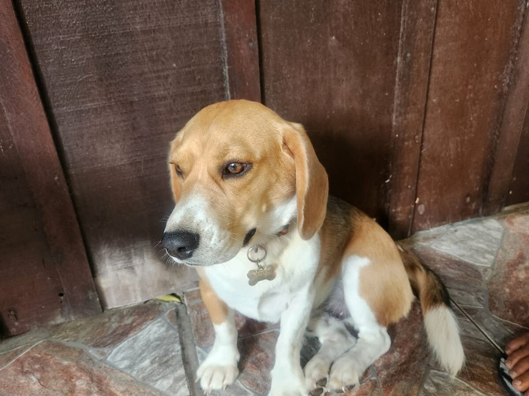 Pousada Praia Do Farol主图