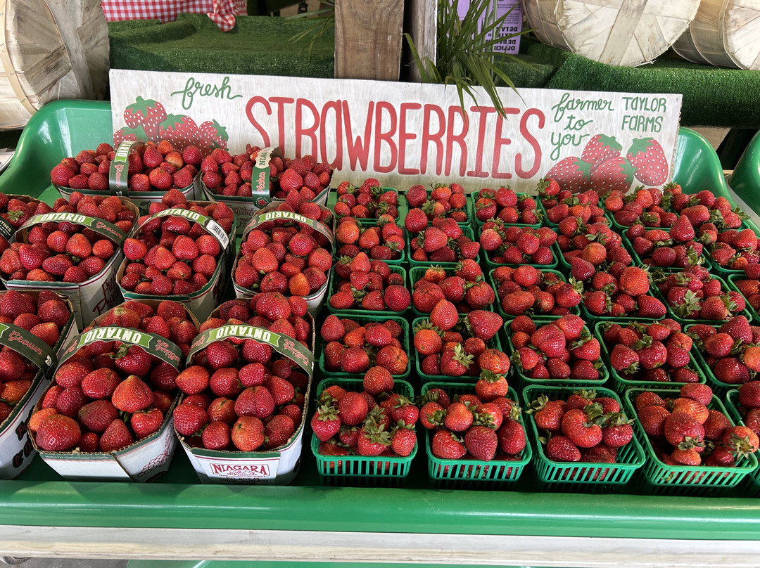 Farmer To You - Taylor Farms-邓达斯必去景点
