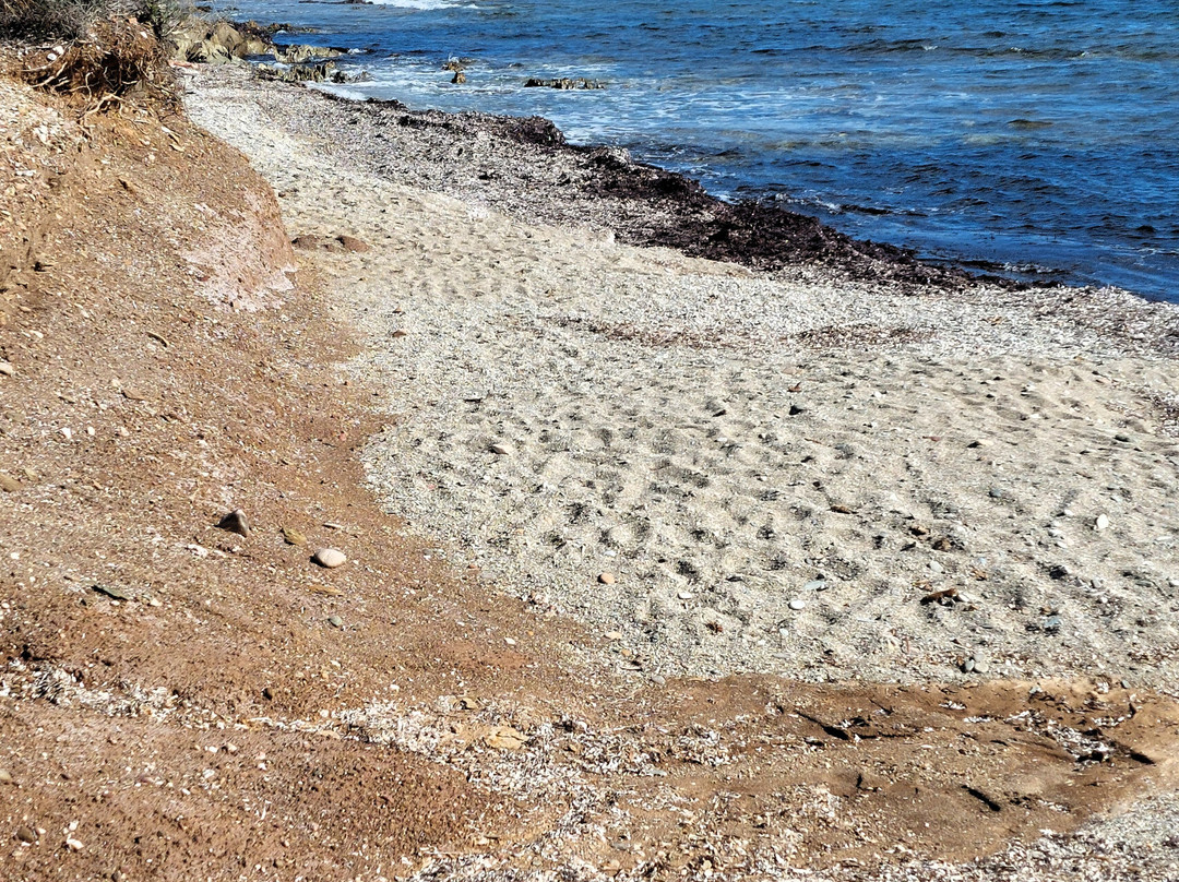 Spiaggia di Campionna-Teulada必去景点