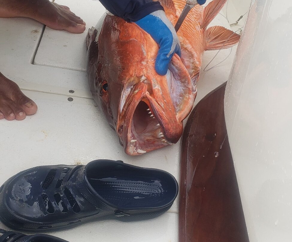 Coiba Adventure Sport Fishing-Isla de Coiba必去景点
