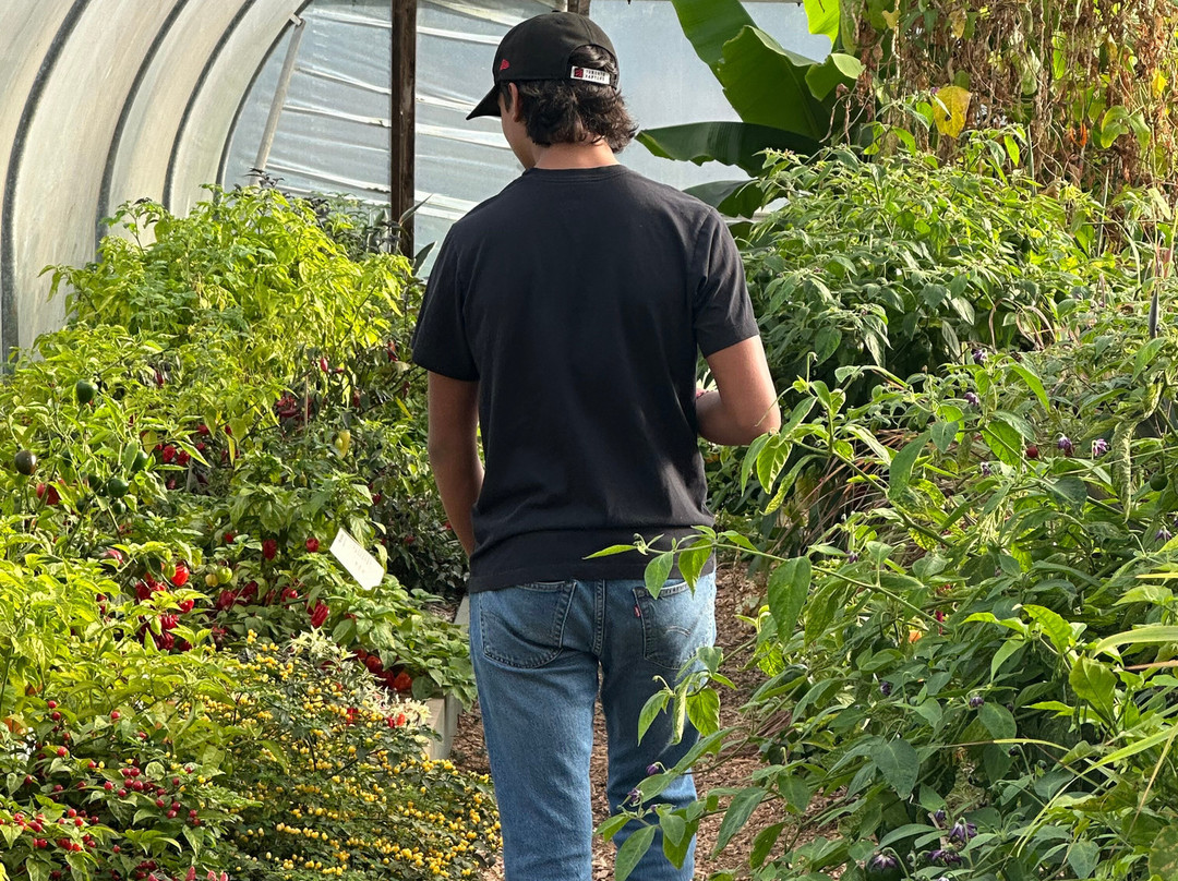 South Devon Chilli Farm-Loddiswell必去景点