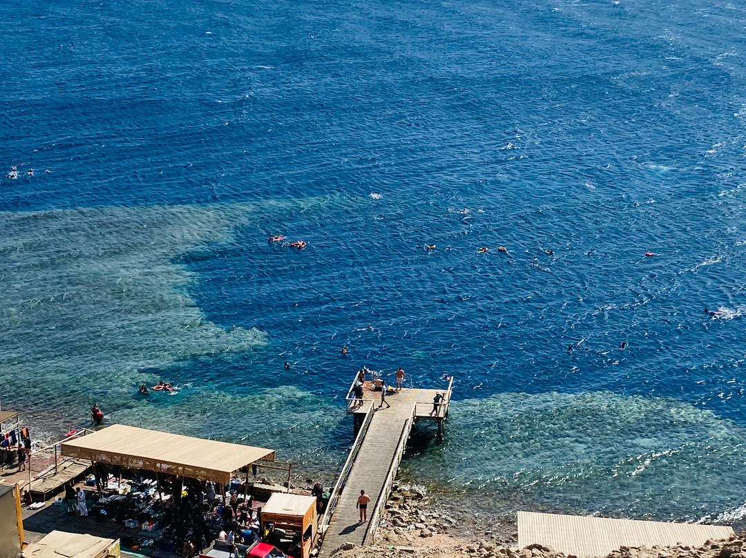 Penguin Divers Club-达哈卜必去景点