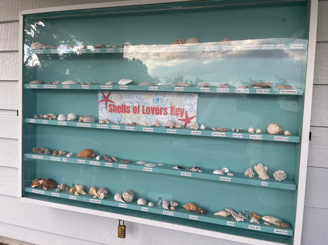 Lovers Key State Park-迈尔斯堡海滩必去景点