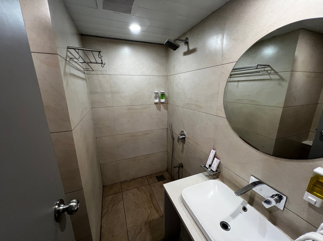 VITS The Somnath Gateway主图