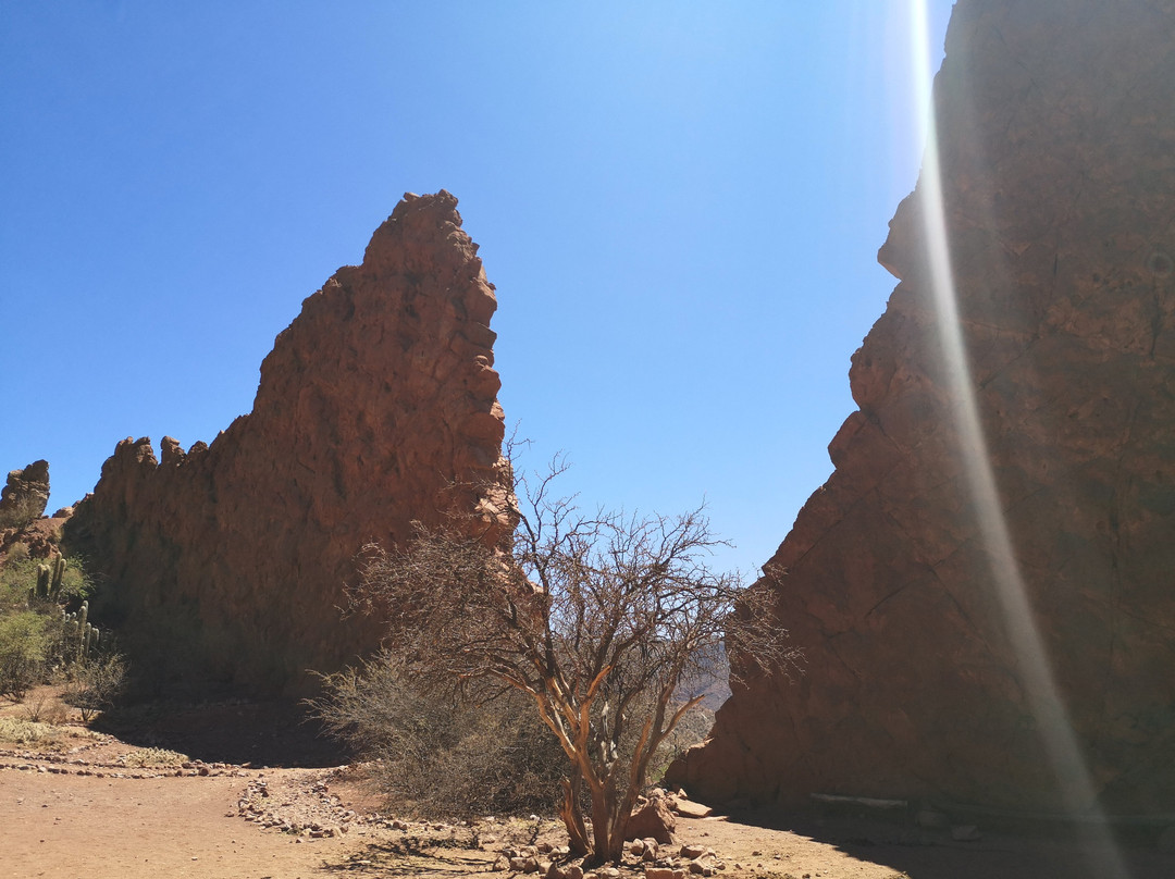 Green Planet Etno Eco Travel-Tupiza必去景点