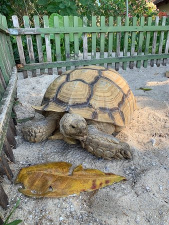 普吉岛塔夫海滩水疗度假村主图