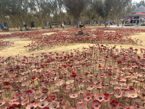 Exclusive Israel Tours-特拉维夫必去景点