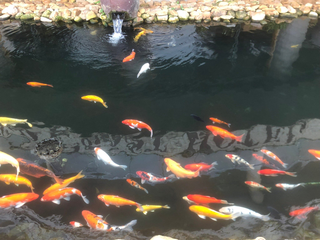 Gold Coast Hotel Resort & Spa主图