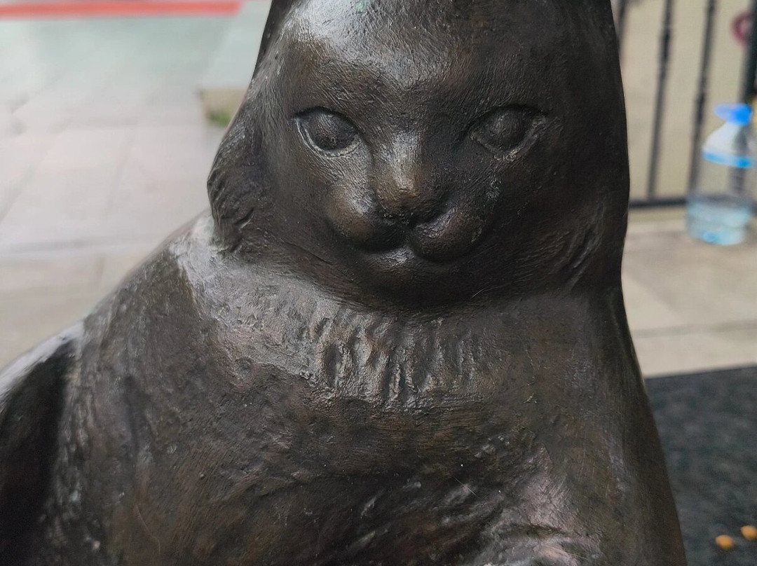 Monuemnt to the Cat Tombili-伊斯坦布尔必去景点