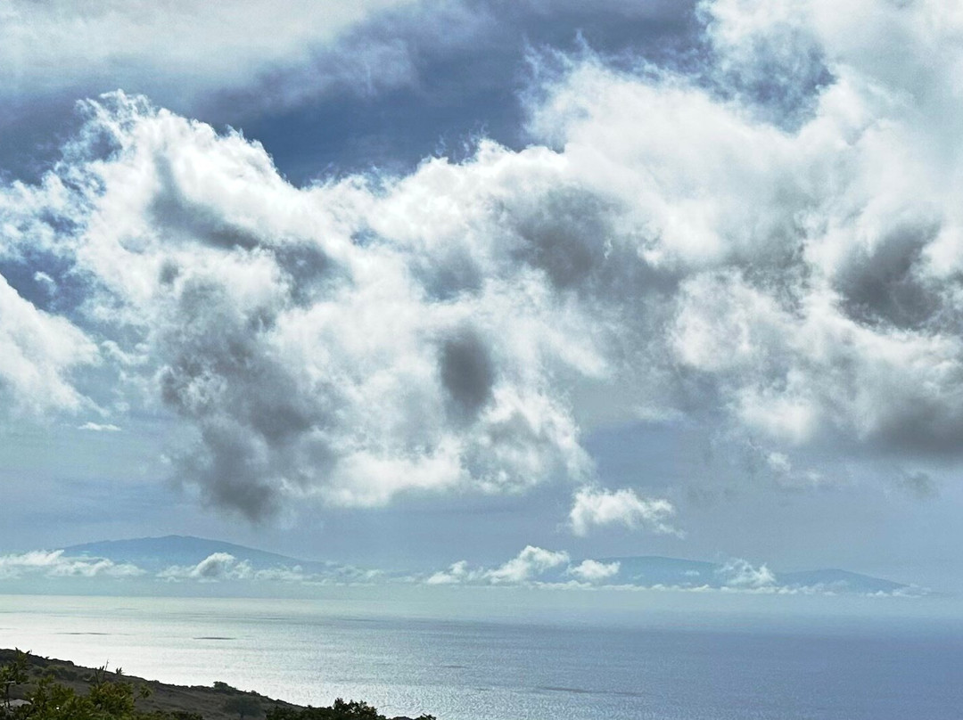 Triple L Ranch Horseback Tours-库拉必去景点