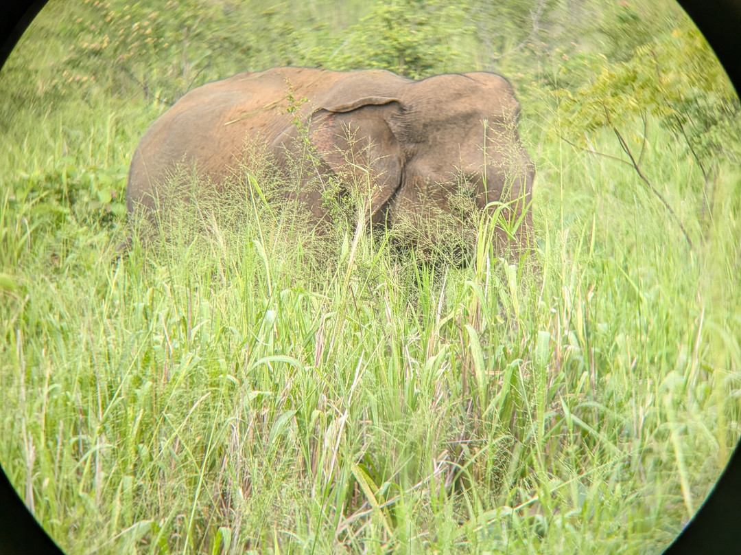 Safari With Asanka-锡吉里亚必去景点