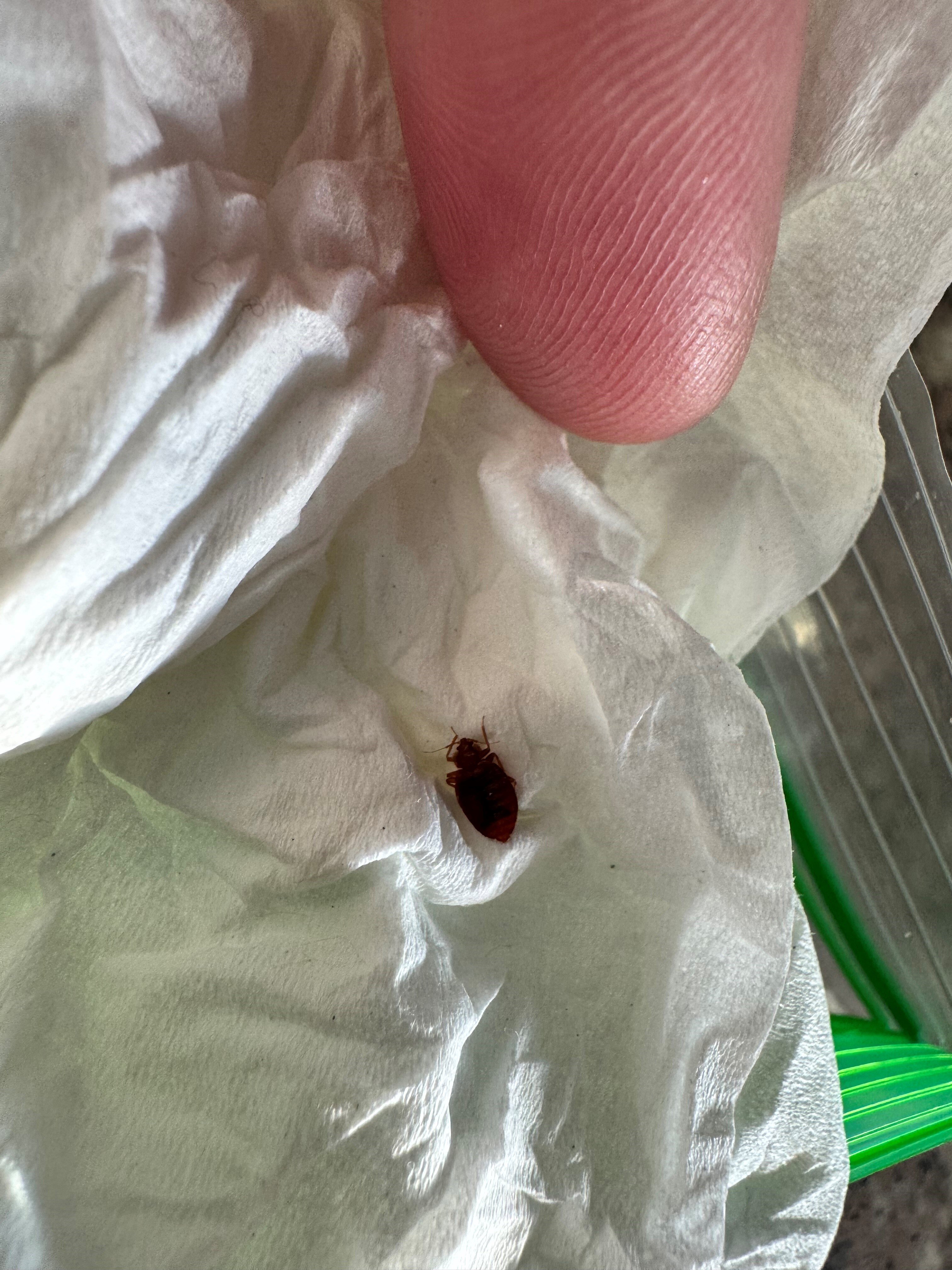 Best Western Maritime Inn-客卧