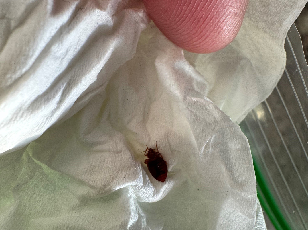 Best Western Maritime Inn主图