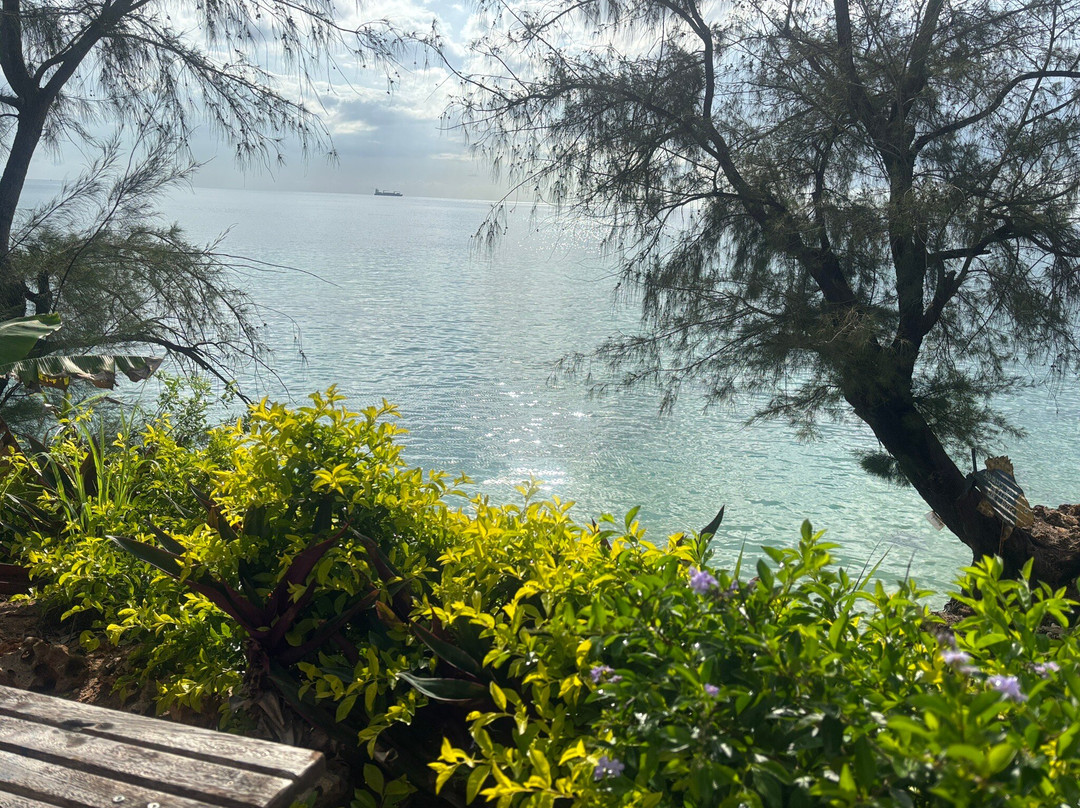 Arnoldi's on the Cliff - Bar & Bites