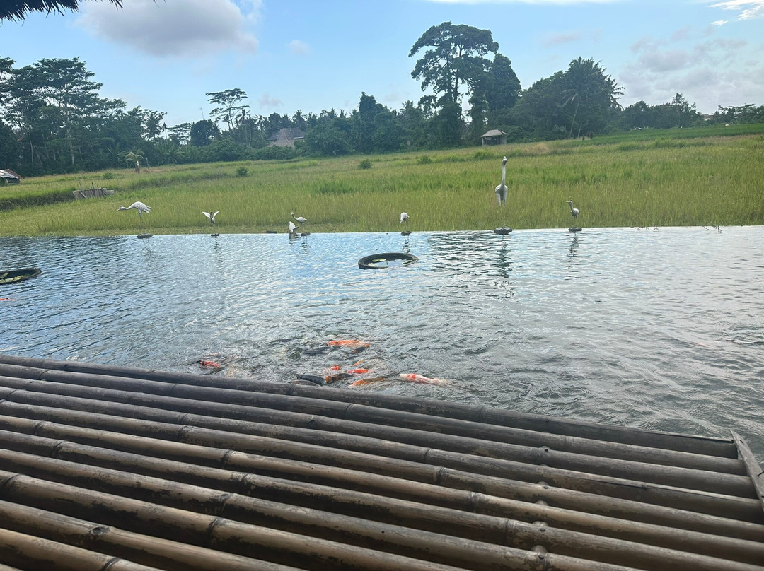 Deka Bali Travel-克隆孔必去景点