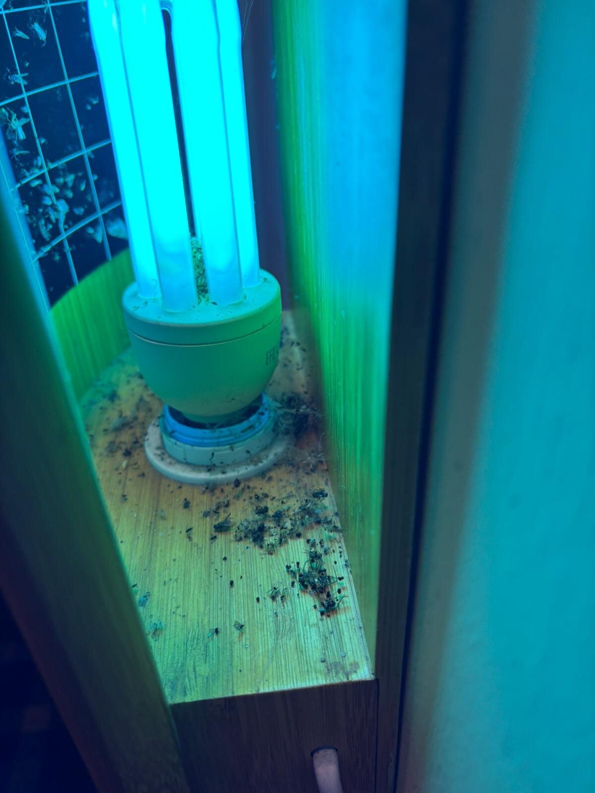 The Bamburgh Castle Inn - The Inn Collection Group-官方