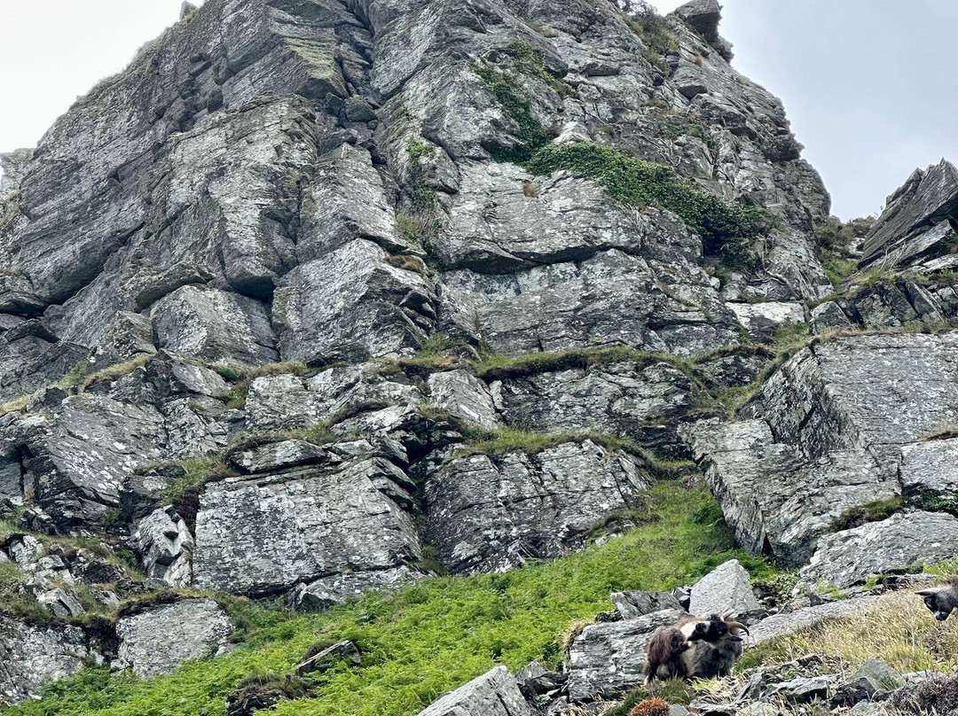 Valley of the Rocks-林茅斯必去景点
