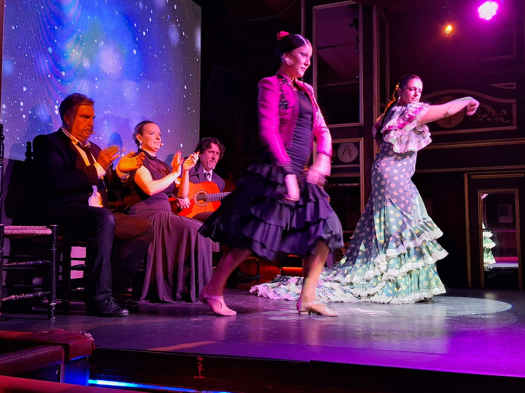 Teatro Flamenco Málaga Club-马拉加必去景点