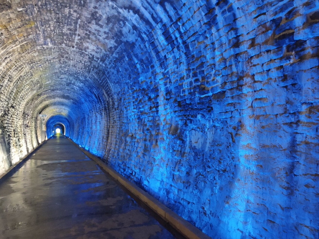 Brockville Railway Tunnel-布罗克维尔必去景点