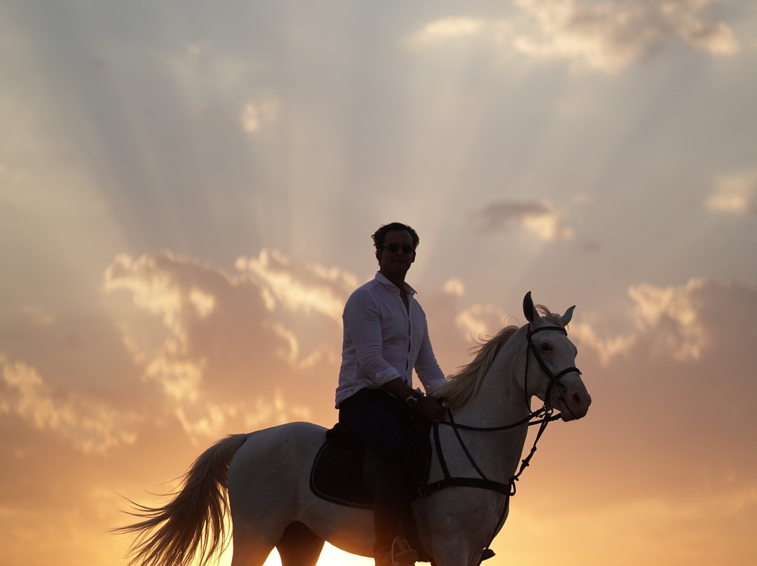 Tal3t Kheal - Horse Riding In Egypt-开罗必去景点
