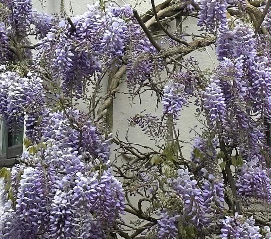 Longwell Green酒店住宿-Manor Lodge Guest House