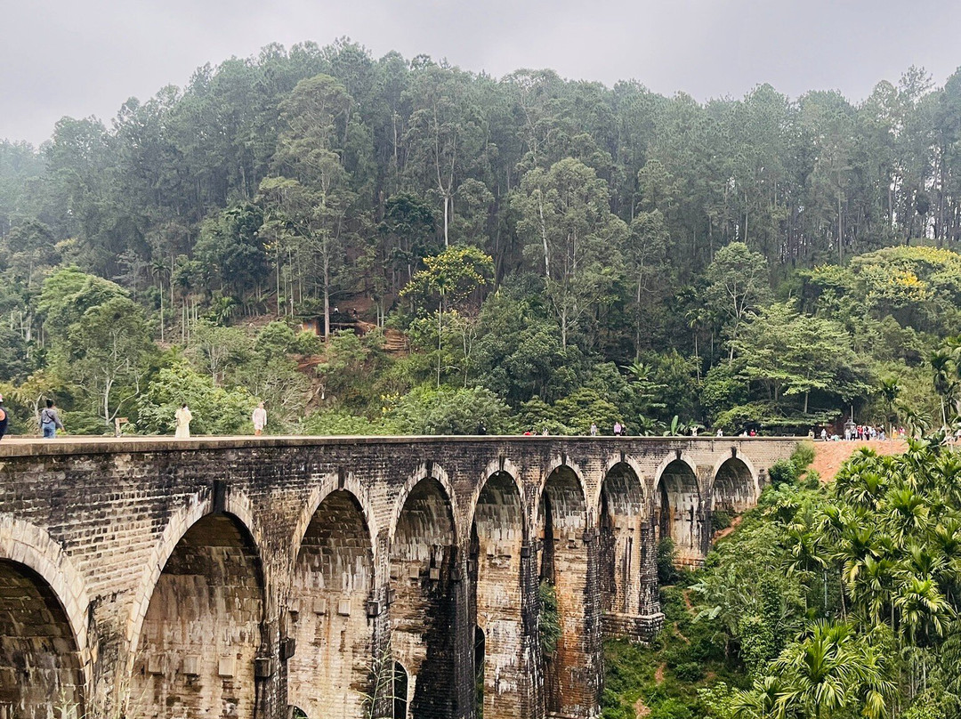 Dim Tours Sri Lanka-班托塔必去景点