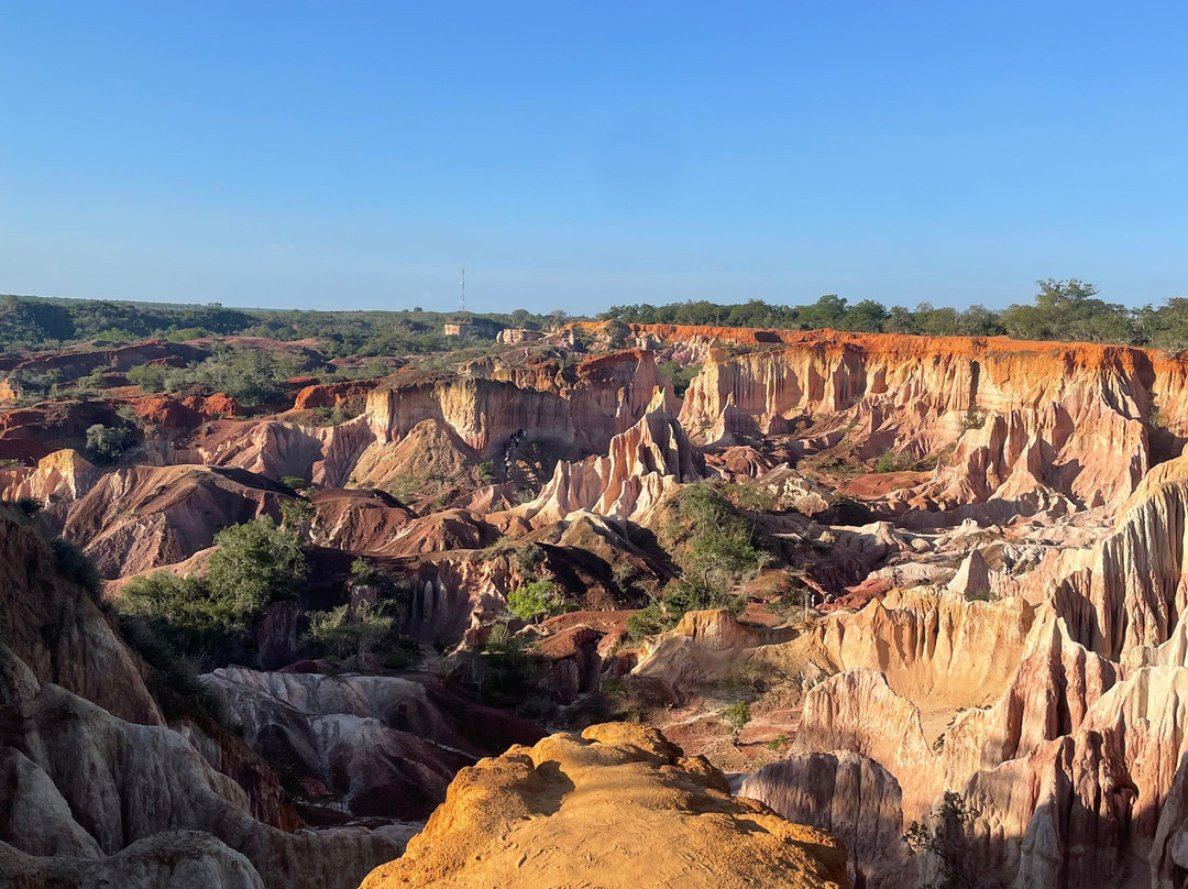 Safari In Kenya Con Samba-瓦塔木必去景点