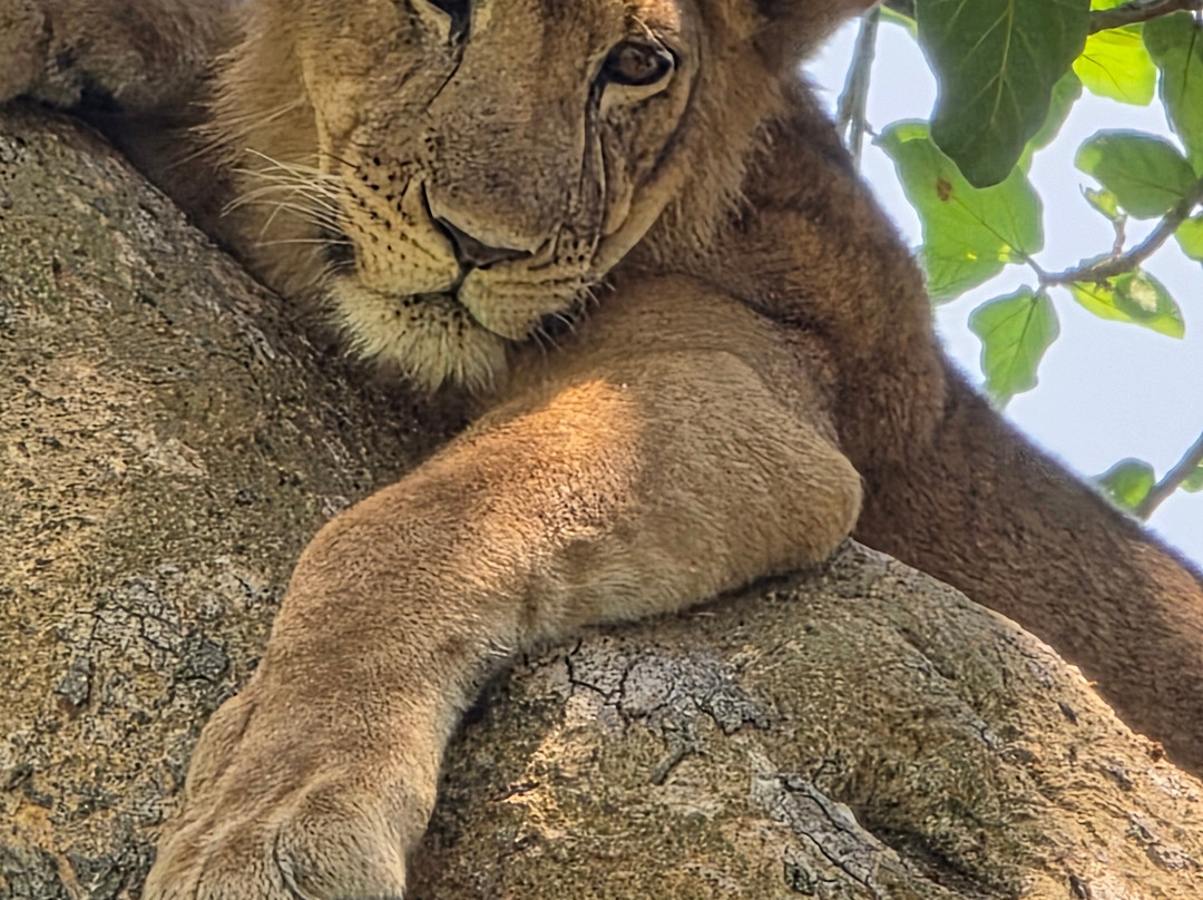 PearlAfric Tours & Travel-坎帕拉必去景点