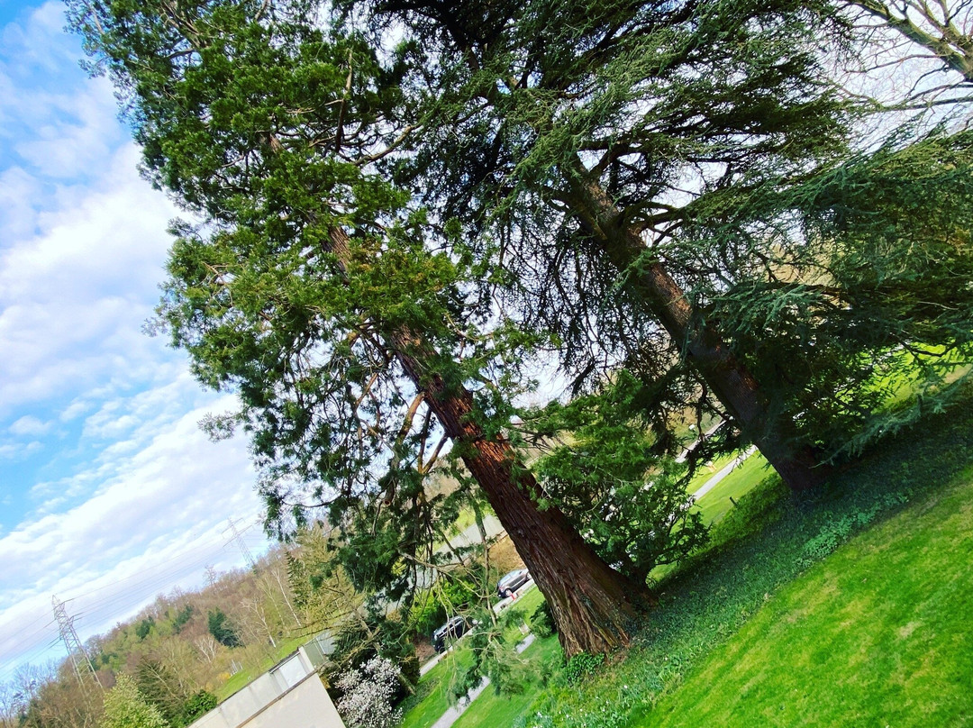 Veltheim酒店住宿-Kurhotel Im Park