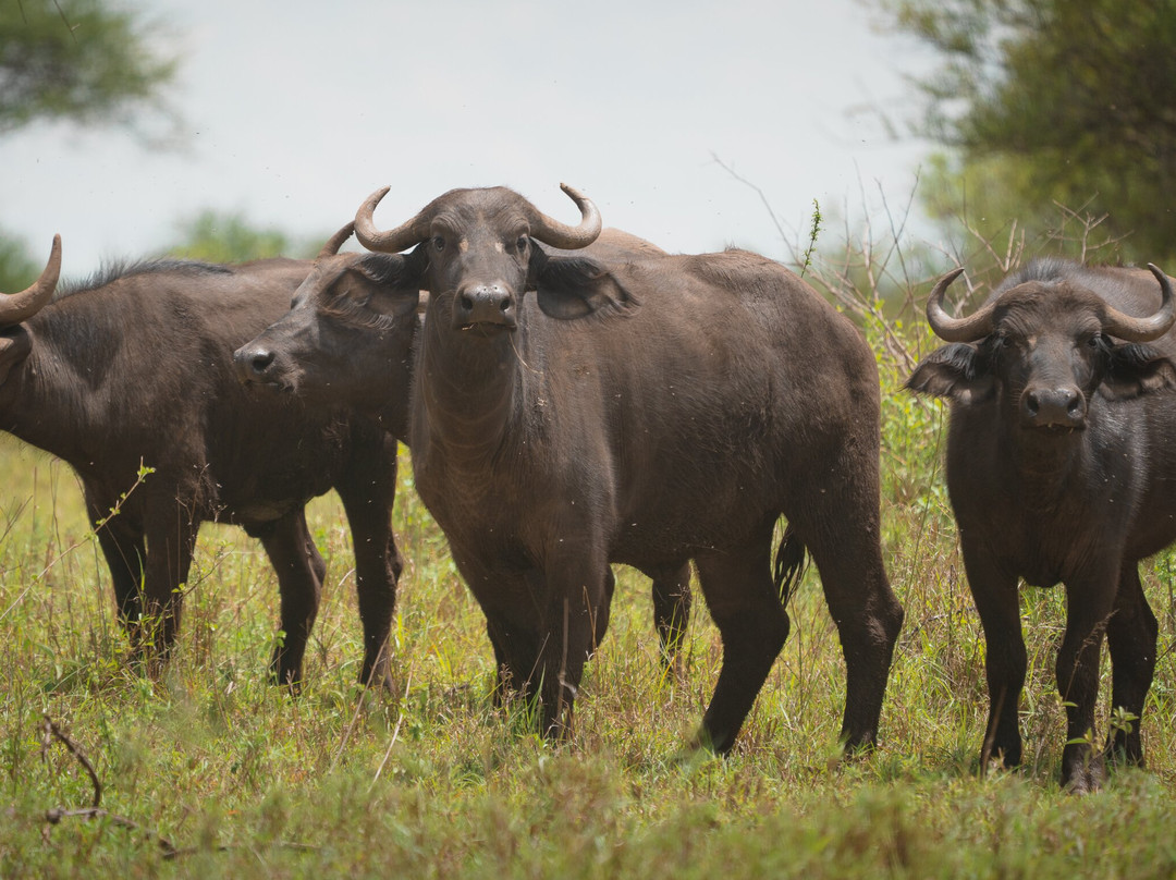 Destiny Explorers-莫西必去景点