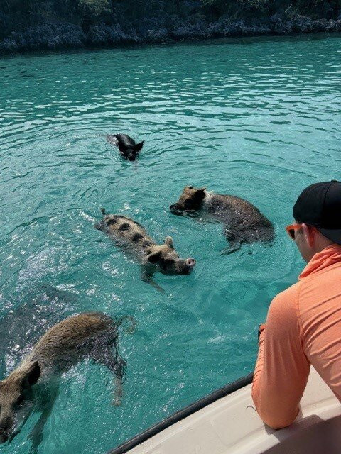 Great Guana Cay Adventures-Little Exuma必去景点