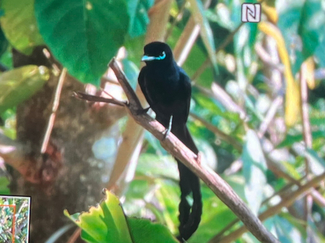 Veuve Nature Reserve-拉迪格岛必去景点