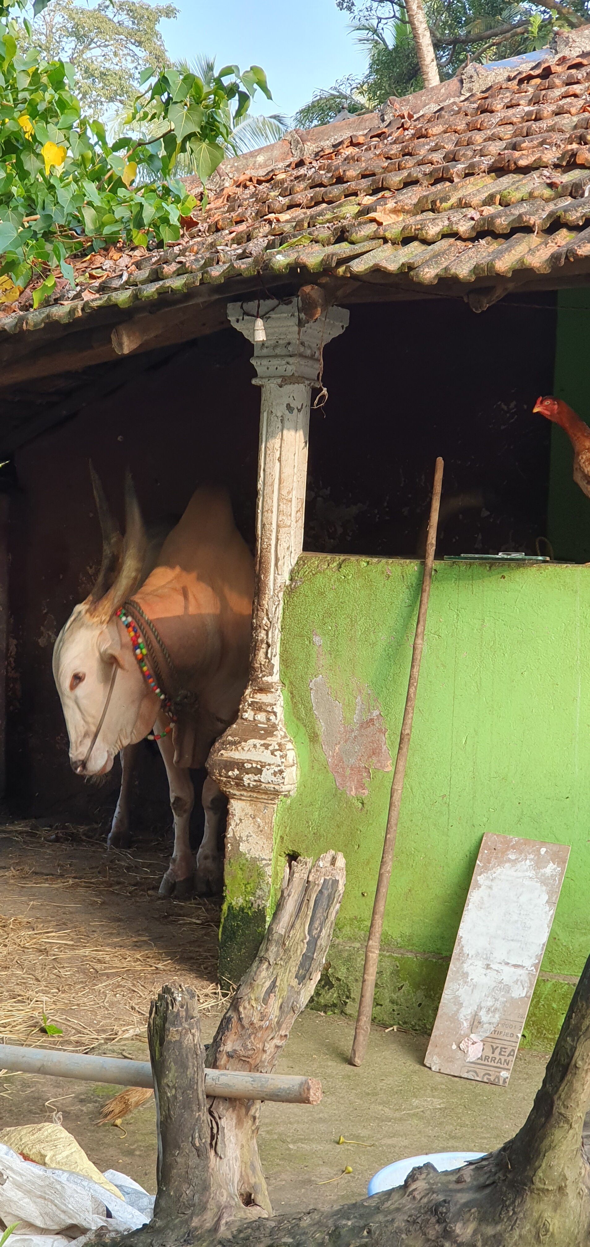 Karma Royal Palms-官方