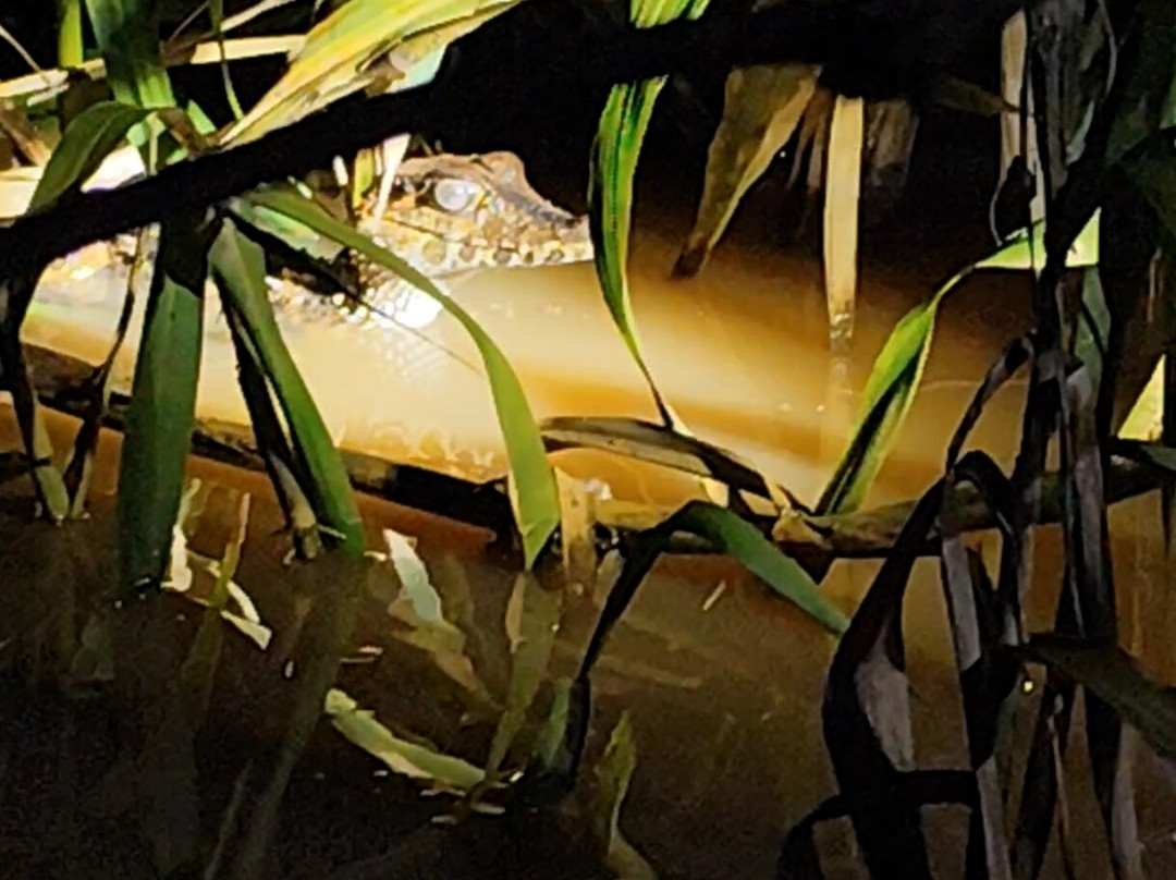 GREEN HOUSE TAMBOPATA-Filadelfia必去景点