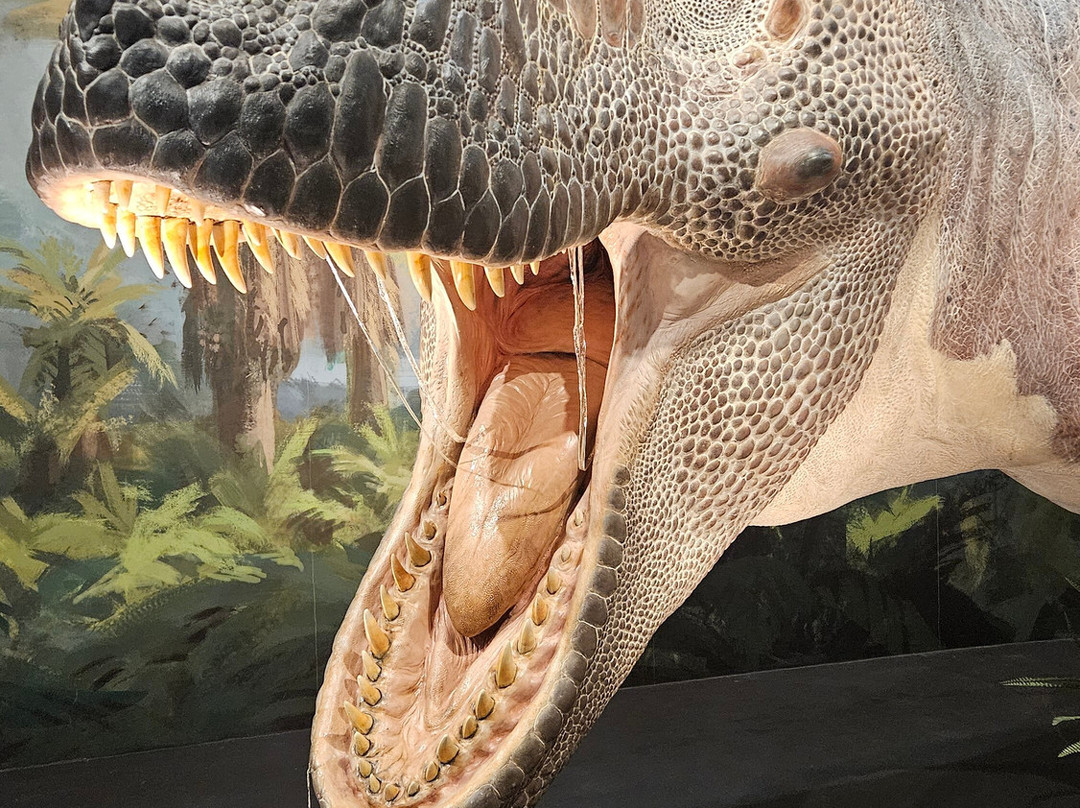 Dinosauria Museum Prague-Tuchomerice必去景点