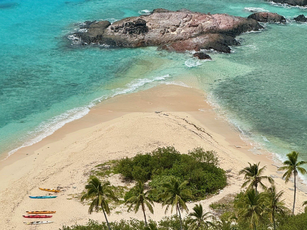 Southern Sea Ventures-霍巴特必去景点