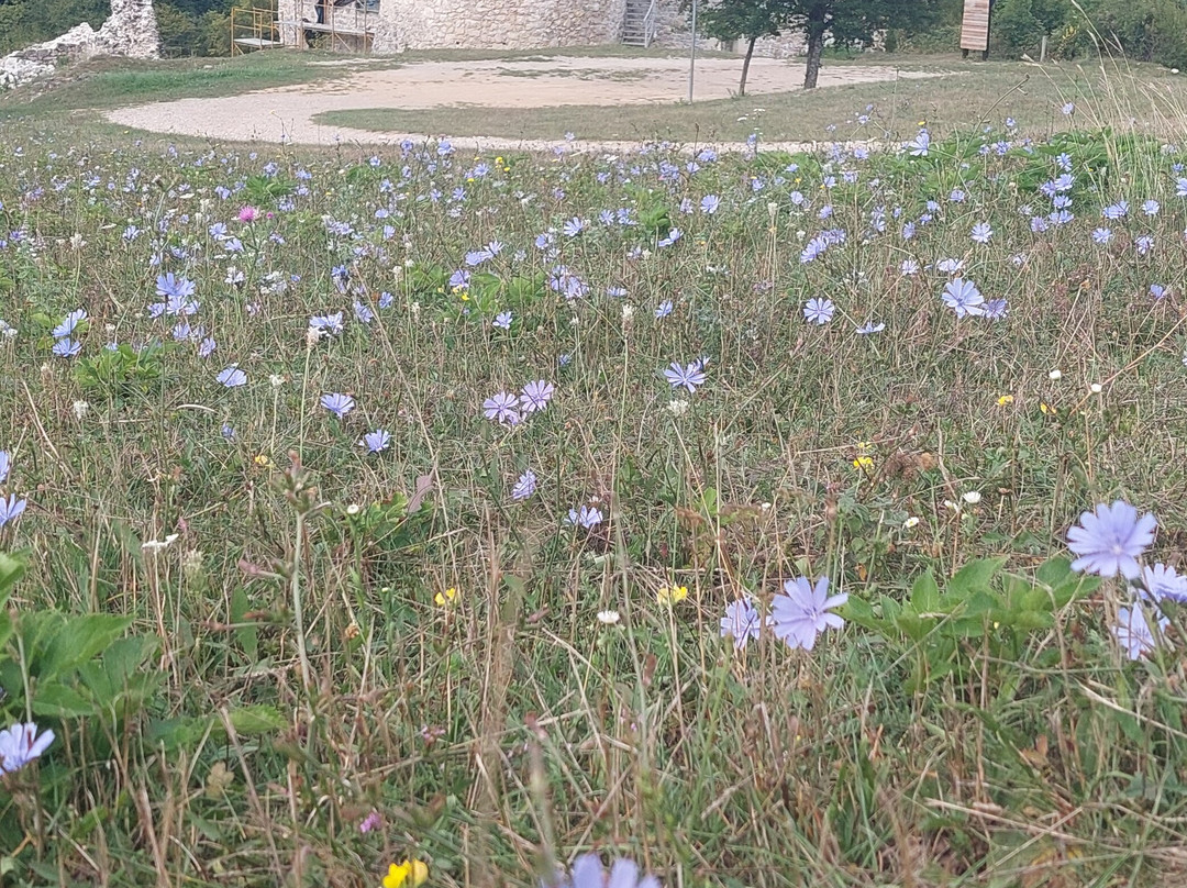 Dreznik Old Town-Dreznik Grad必去景点