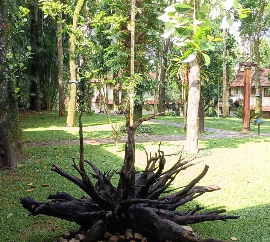 绿林度假村主图