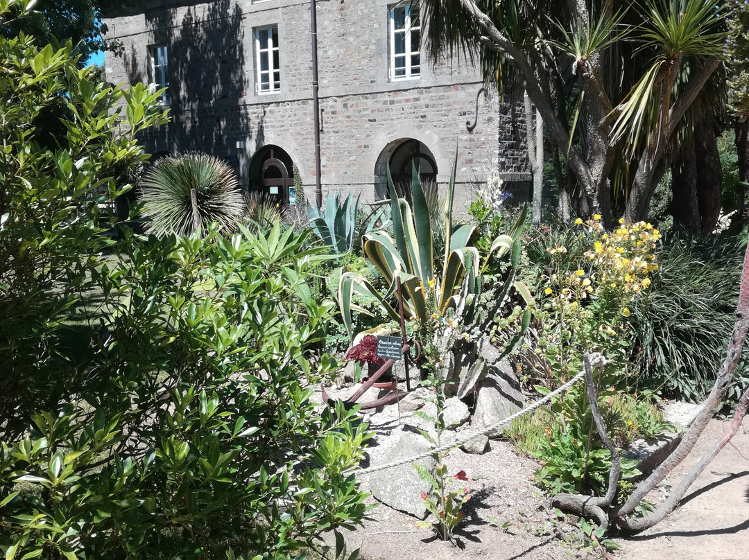 Tatihou Island-Saint-Vaast-la-Hougue必去景点