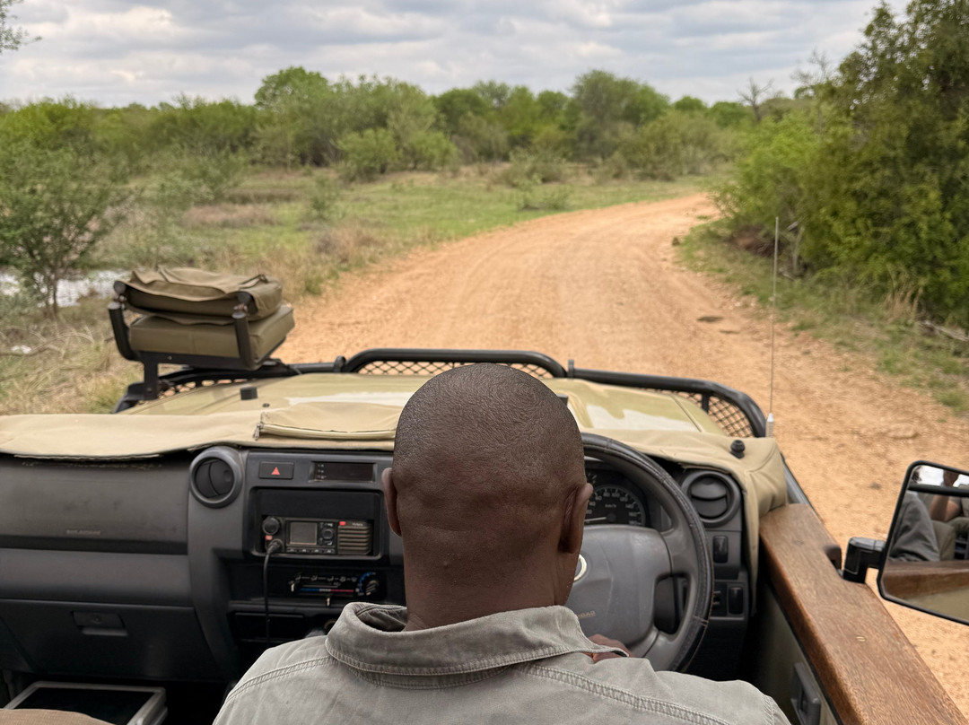 Rhino Africa Safaris-开普敦中心区必去景点