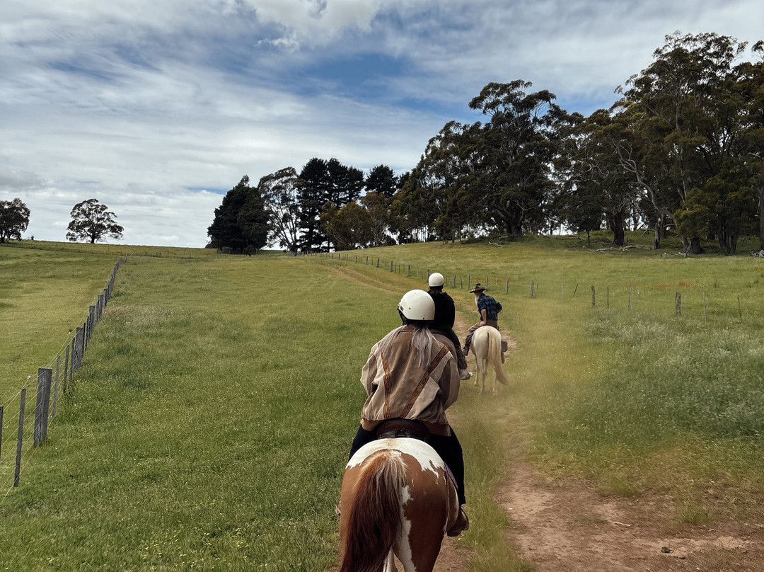 Silver Brumby Trails-Spring Hill必去景点