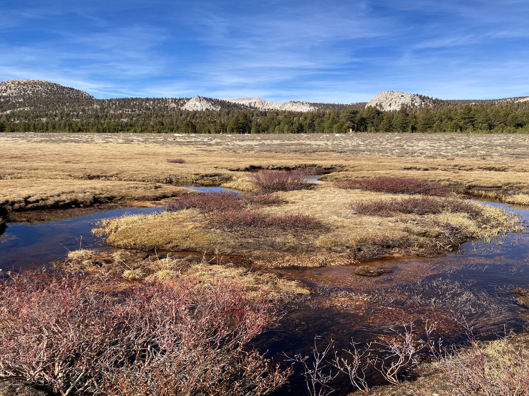 Horseshoe Meadow Trail-隆派恩必去景点