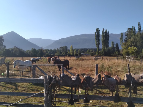 Cabalgatas Mayin-Cunco必去景点