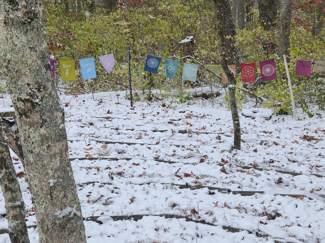 White Garden Inn主图